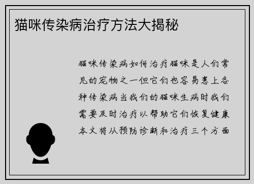 猫咪传染病治疗方法大揭秘